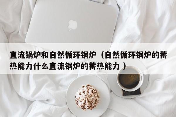 直流锅炉和自然循环锅炉（自然循环锅炉的蓄热能力什么直流锅炉的蓄热能力 ）