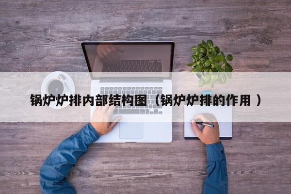 锅炉炉排内部结构图（锅炉炉排的作用 ）